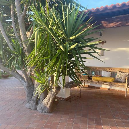 Dimorra Sun And Relax Villa Forio  Ngoại thất bức ảnh