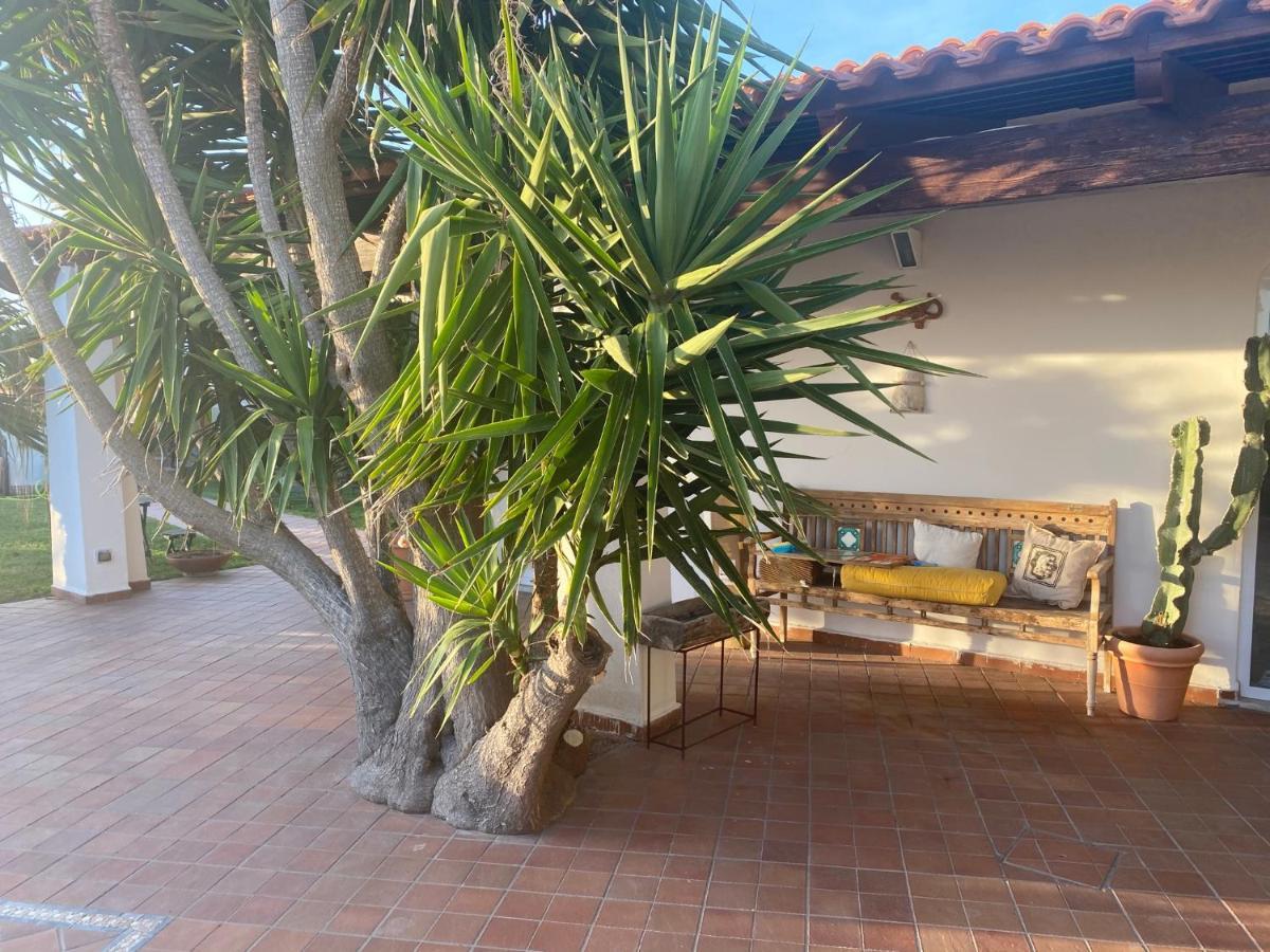 Dimorra Sun And Relax Villa Forio  Ngoại thất bức ảnh
